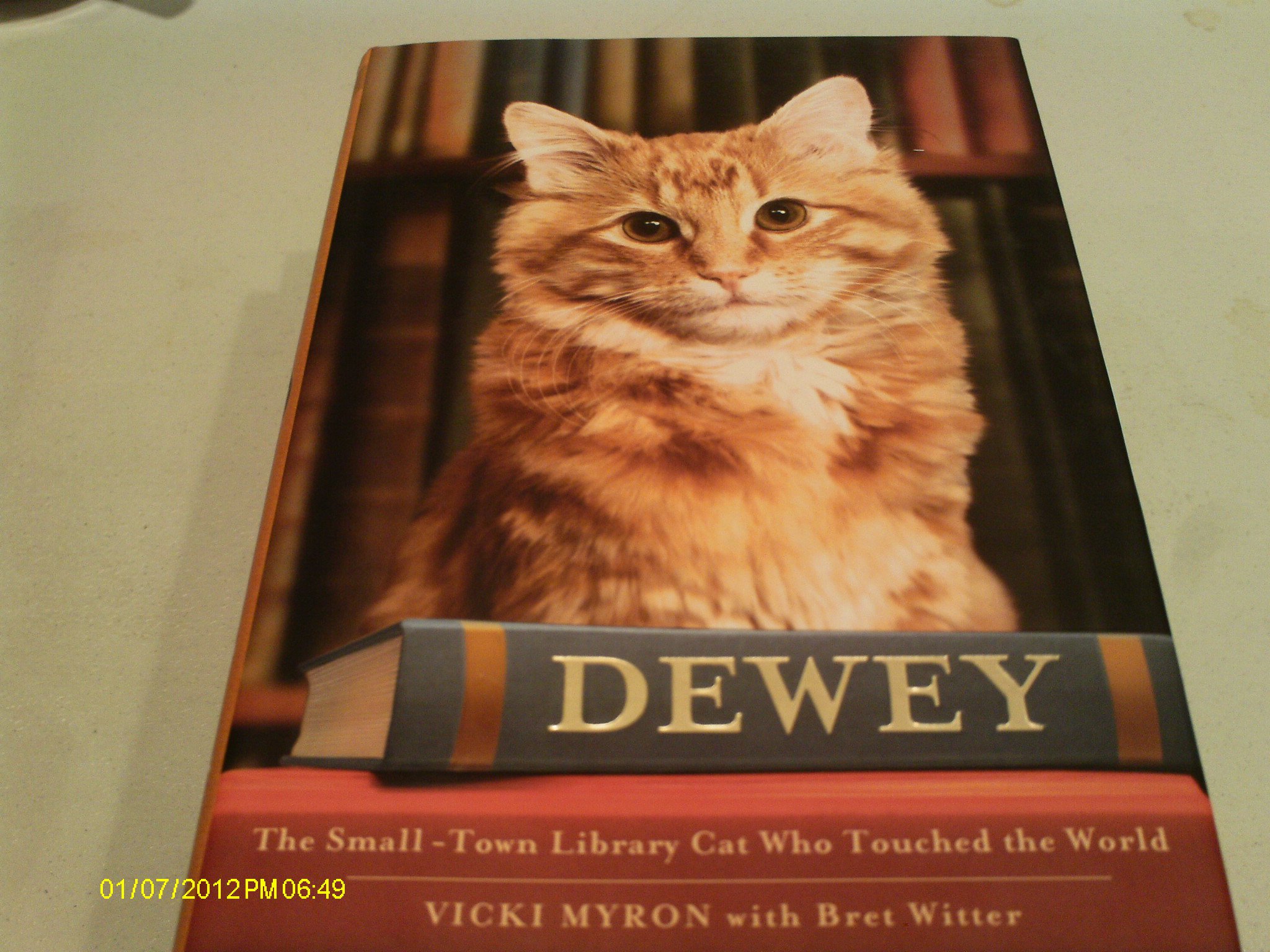 【中古】 DEWEY(A)/GRAND CENTRAL PUBLISHING (USA)/VICKI *SEE 9780316068703 MYRON 81c9-plgqKL.jpg